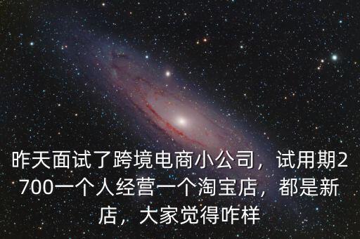 昨天面試了跨境電商小公司，試用期2700一個人經營一個淘寶店，都是新店，大家覺得咋樣