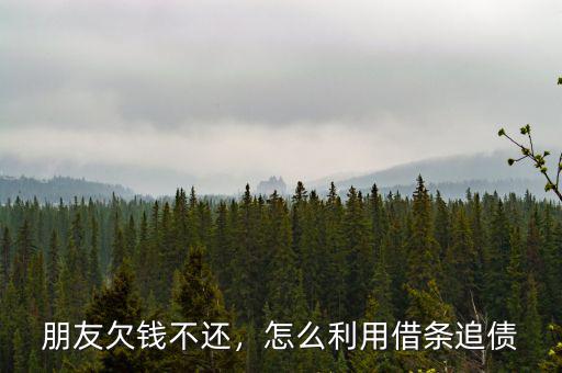 朋友欠錢(qián)不還，怎么利用借條追債