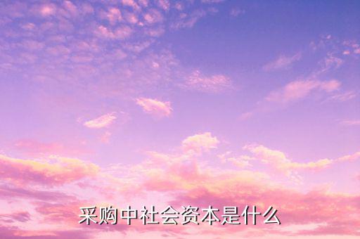 為什么關注社會資本,采購中社會資本是什么