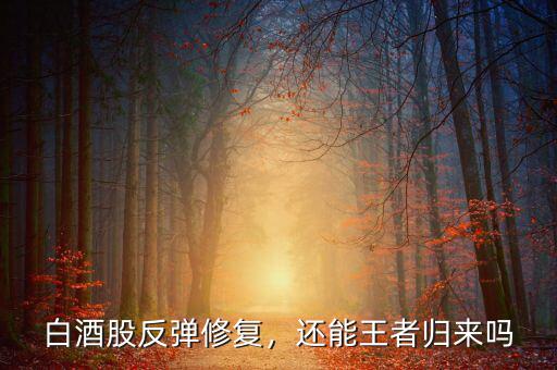 白酒股反彈修復(fù)，還能王者歸來(lái)嗎