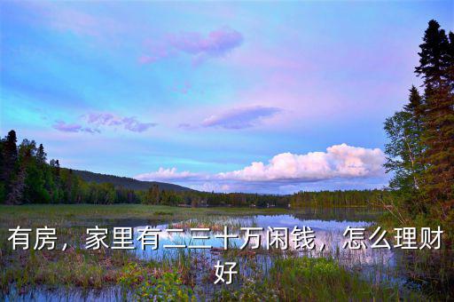 有房，家里有二三十萬閑錢，怎么理財好