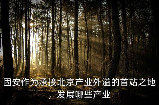 固安作為承接北京產(chǎn)業(yè)外溢的首站之地，發(fā)展哪些產(chǎn)業(yè)