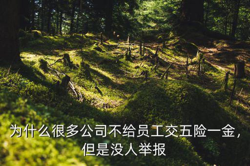 為什么很多公司不給員工交五險(xiǎn)一金，但是沒(méi)人舉報(bào)