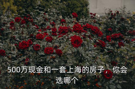 500萬現(xiàn)金和一套上海的房子，你會選哪個
