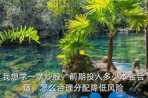 我想學(xué)一學(xué)炒股，前期投入多少本金合適，怎么合理分配降低風(fēng)險