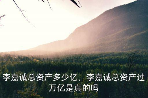 李嘉誠(chéng)總資產(chǎn)多少億，李嘉誠(chéng)總資產(chǎn)過(guò)萬(wàn)億是真的嗎