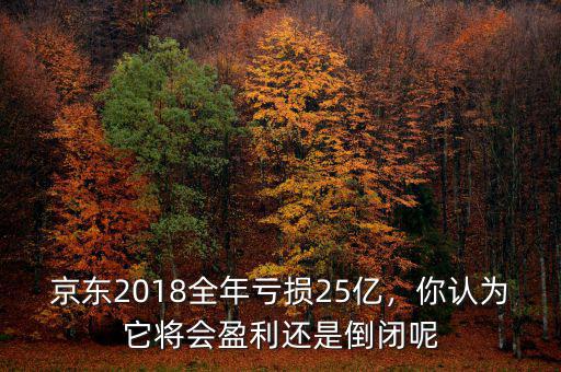 京東2018全年虧損25億，你認(rèn)為它將會盈利還是倒閉呢