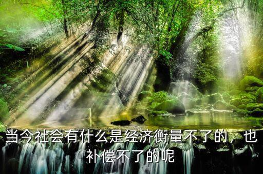 當(dāng)今社會(huì)有什么是經(jīng)濟(jì)衡量不了的，也補(bǔ)償不了的呢
