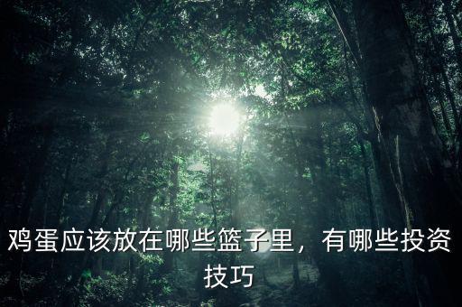 雞蛋應該放在哪些籃子里，有哪些投資技巧