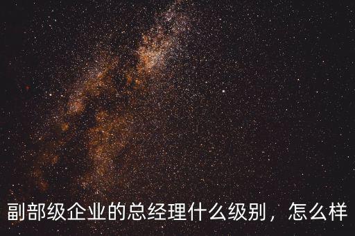 副部級企業(yè)的總經(jīng)理什么級別，怎么樣