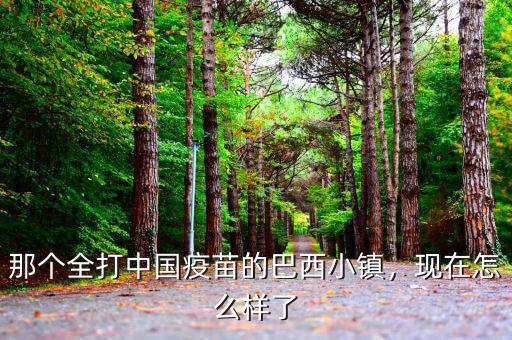 那個全打中國疫苗的巴西小鎮(zhèn)，現(xiàn)在怎么樣了