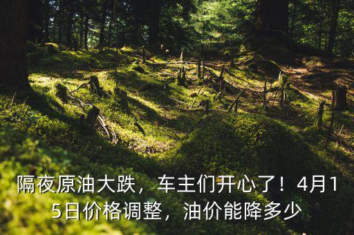 隔夜原油大跌，車主們開心了！4月15日價格調(diào)整，油價能降多少