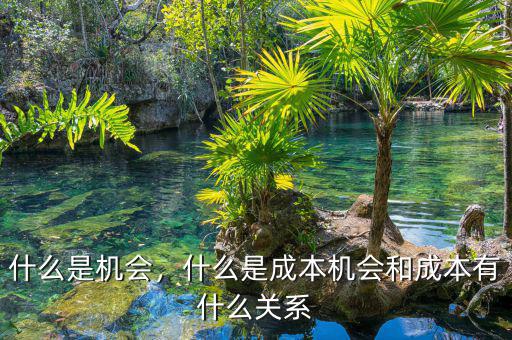 什么是機會，什么是成本機會和成本有什么關系