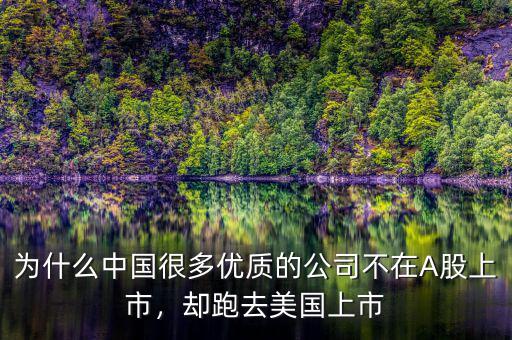 為什么中國很多優(yōu)質的公司不在A股上市，卻跑去美國上市