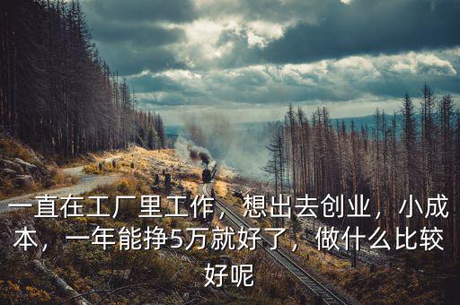一直在工廠里工作，想出去創(chuàng)業(yè)，小成本，一年能掙5萬就好了，做什么比較好呢
