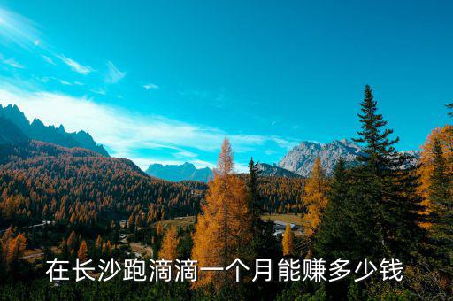 在長沙跑滴滴一個(gè)月能賺多少錢