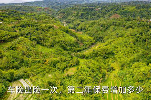車(chē)險(xiǎn)出險(xiǎn)一次，第二年保費(fèi)增加多少