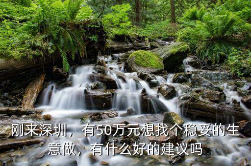剛來深圳，有50萬元想找個穩(wěn)妥的生意做，有什么好的建議嗎