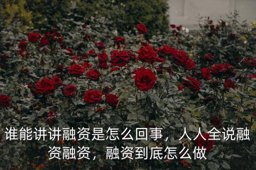誰能講講融資是怎么回事，人人全說融資融資，融資到底怎么做