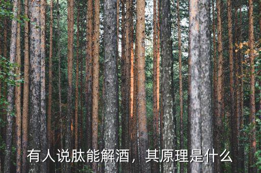 有人說肽能解酒，其原理是什么