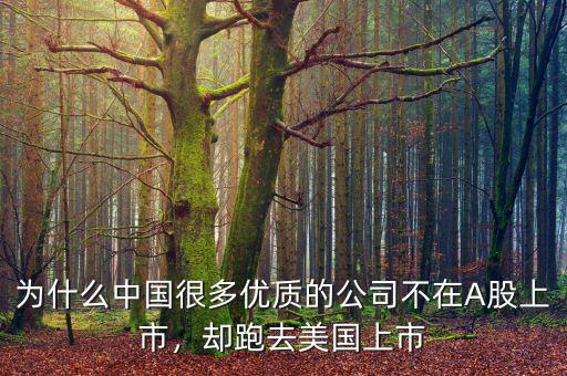為什么中國很多優(yōu)質(zhì)的公司不在A股上市，卻跑去美國上市
