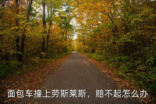 面包車撞上勞斯萊斯，賠不起怎么辦