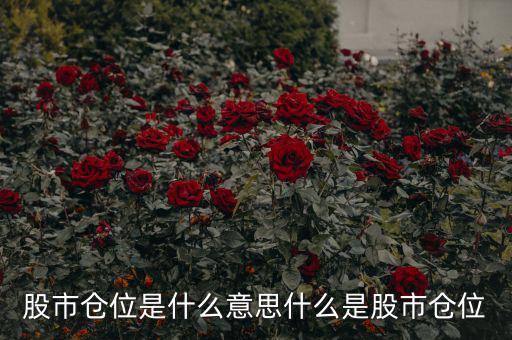 股票二層倉(cāng)位是什么意思,股市倉(cāng)位是什么意思
