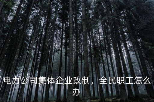 電力公司集體企業(yè)改制，全民職工怎么辦