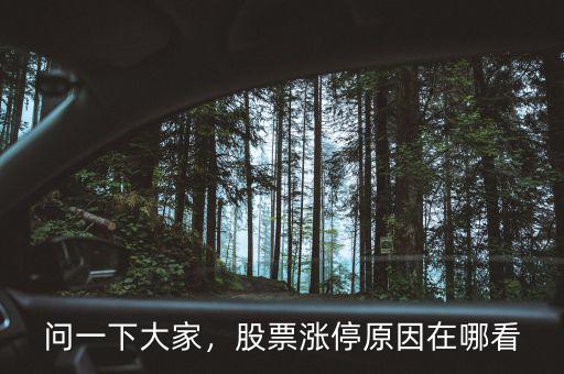 問一下大家，股票漲停原因在哪看