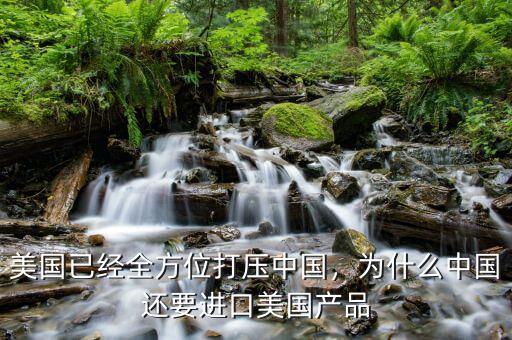 美國(guó)已經(jīng)全方位打壓中國(guó)，為什么中國(guó)還要進(jìn)口美國(guó)產(chǎn)品