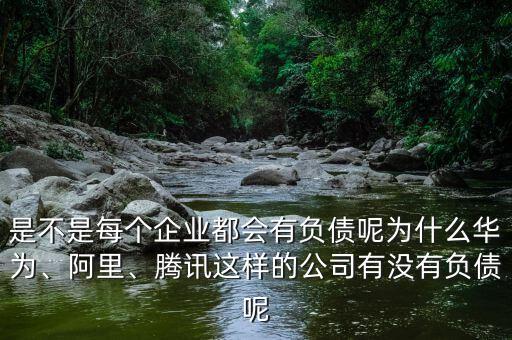 是不是每個企業(yè)都會有負(fù)債呢為什么華為、阿里、騰訊這樣的公司有沒有負(fù)債呢