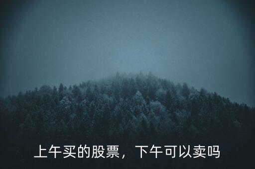 買(mǎi)進(jìn)的股票什么時(shí)候可以賣(mài)出,下午可以賣(mài)嗎