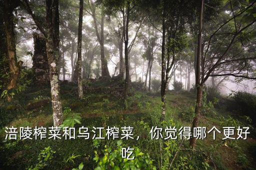 涪陵榨菜和烏江榨菜，你覺(jué)得哪個(gè)更好吃