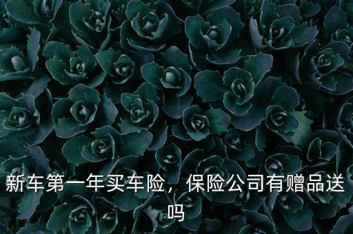 2015車保險(xiǎn)公司有什么贈品,保險(xiǎn)公司有贈品送嗎