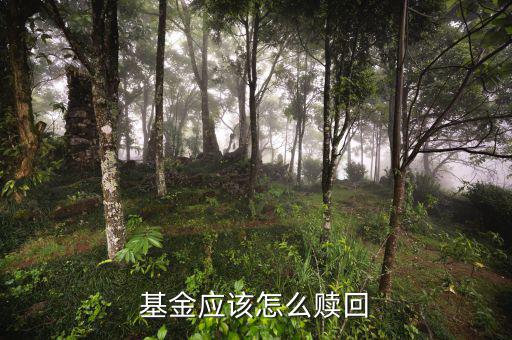 新華環(huán)保的股票贖回后怎么賣(mài),基金應(yīng)該怎么贖回