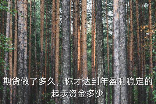 期貨做了多久，你才達到年盈利穩(wěn)定的起步資金多少