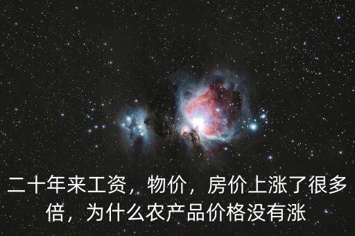 二十年來工資，物價(jià)，房價(jià)上漲了很多倍，為什么農(nóng)產(chǎn)品價(jià)格沒有漲