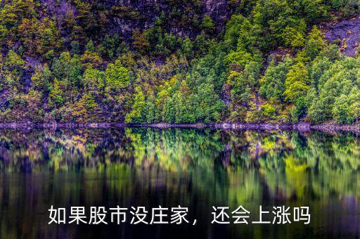 如果股市沒莊家，還會上漲嗎