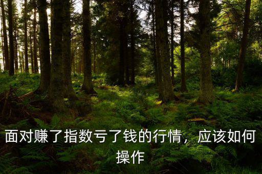 面對賺了指數(shù)虧了錢的行情，應(yīng)該如何操作