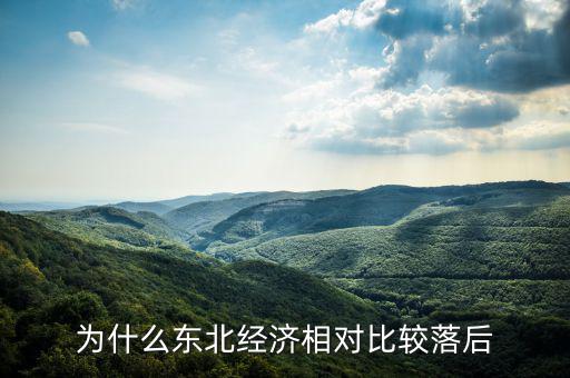 東北國企改革為什么落后,為什么東北經(jīng)濟(jì)相對(duì)比較落后