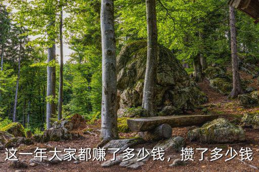 這一年大家都賺了多少錢，攢了多少錢