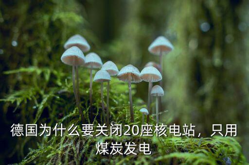 德國為什么要關(guān)閉20座核電站，只用煤炭發(fā)電