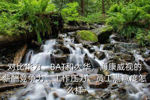 桐廬?？低曉趺礃?員工滿意度怎么樣