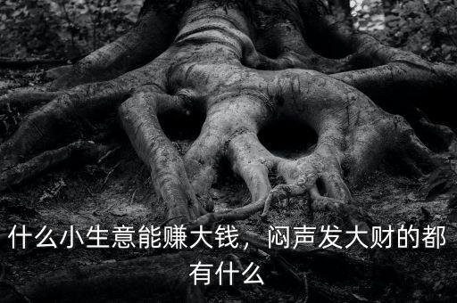 什么小生意能賺大錢，悶聲發(fā)大財(cái)?shù)亩加惺裁? class=