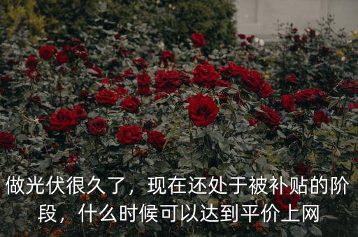 做光伏很久了，現(xiàn)在還處于被補貼的階段，什么時候可以達到平價上網(wǎng)