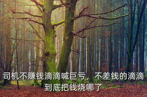 司機不賺錢滴滴喊巨虧，不差錢的滴滴到底把錢燒哪了