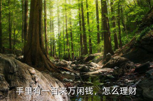 手里有一百來萬閑錢，怎么理財