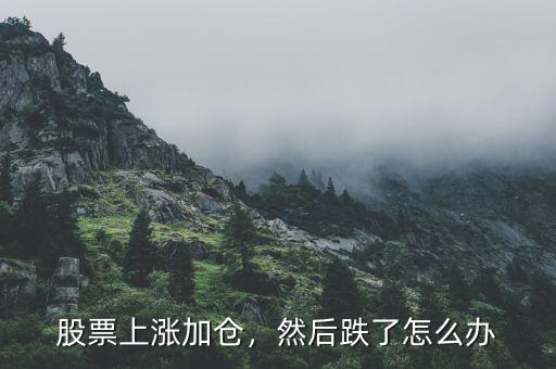 股票上漲加倉(cāng)，然后跌了怎么辦
