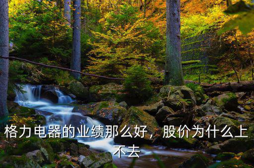 格力電器的業(yè)績(jī)那么好，股價(jià)為什么上不去