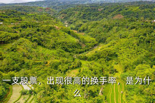 一支股票，出現(xiàn)很高的換手率，是為什么